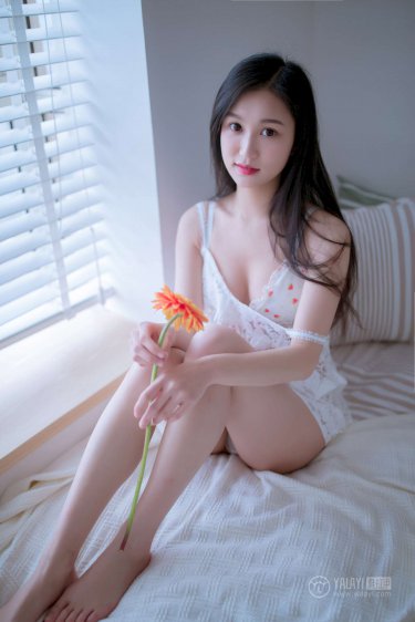 许茂和他的女儿们电视剧